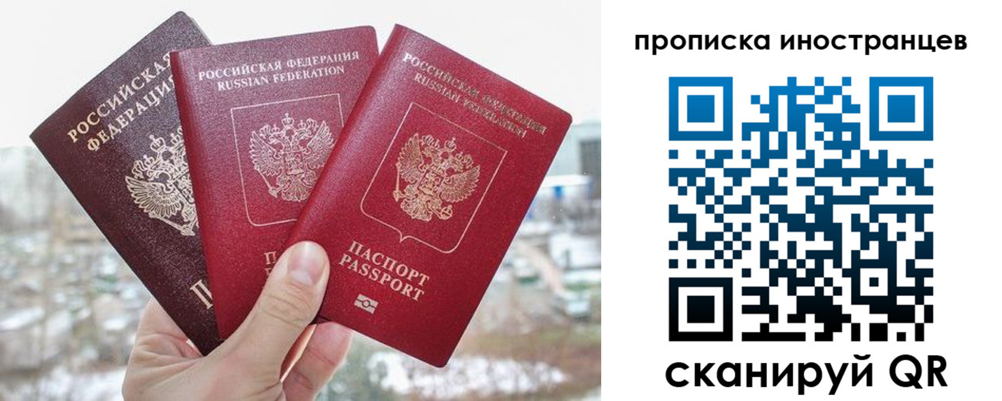 временная регистрация поиск в Лыткарино
